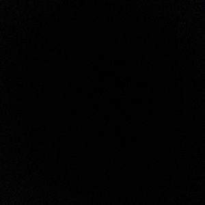 Meet your Posher, Ryleigh